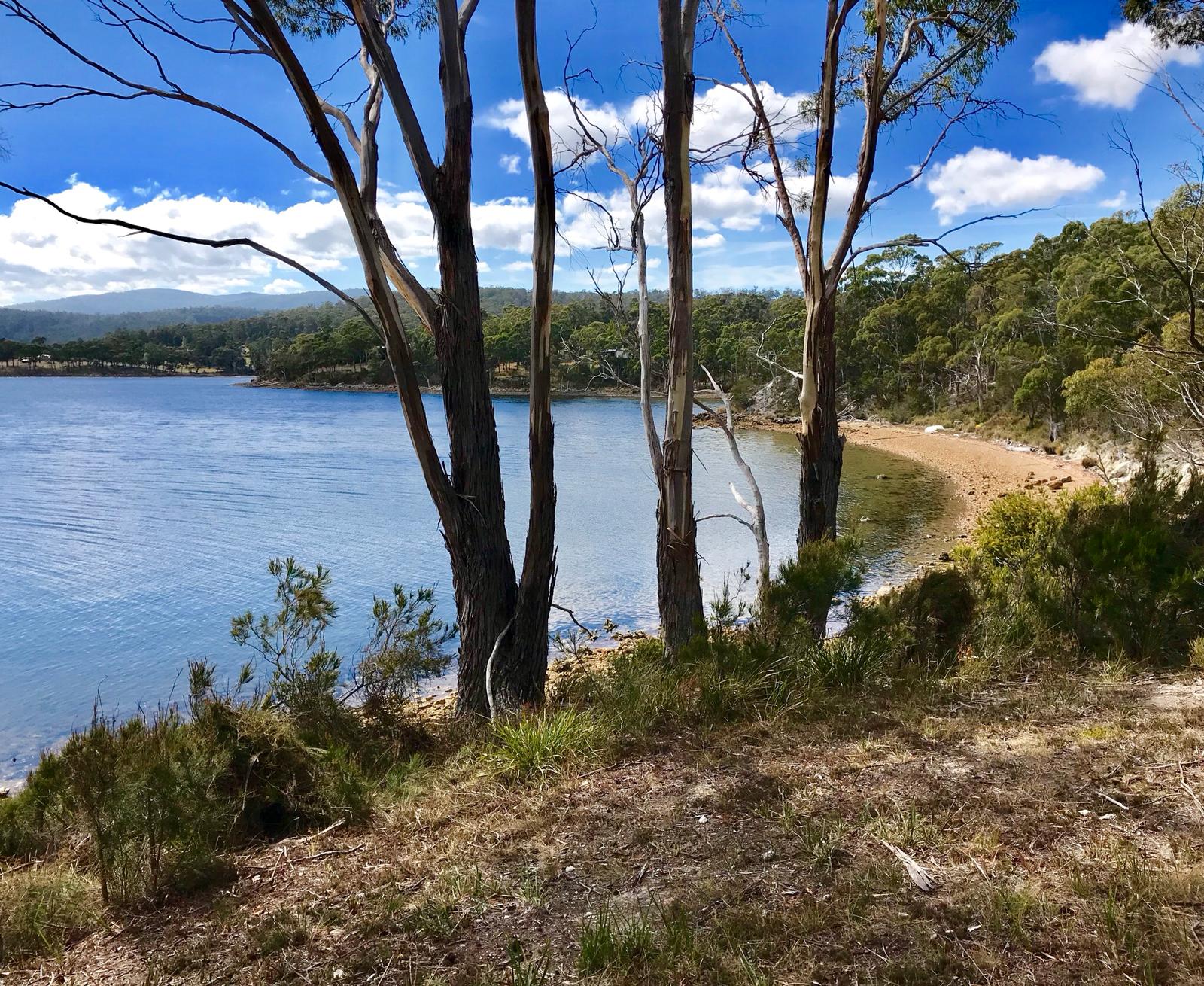 MEDIA RELEASE – Call to Close all Salmon hatcheries that pollute state’s rivers, 6 July 2026
